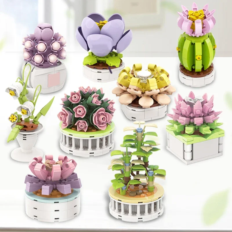Block City DIY Potted Plants S - огляд і ціна Model Kit Chemistry