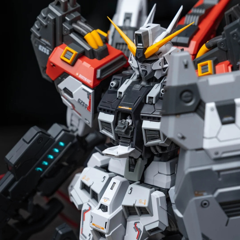 ZZA REGUS GZSS-OX-001 Captain  - огляд і ціна Model Kit Daban